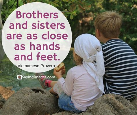40 Wonderful Siblings Quotes to Make You Feel Extra .